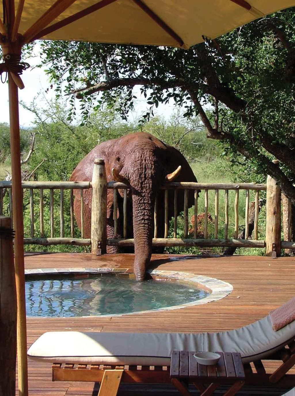 Etali Safari Lodge 马迪克韦狩猎保护区 外观 照片