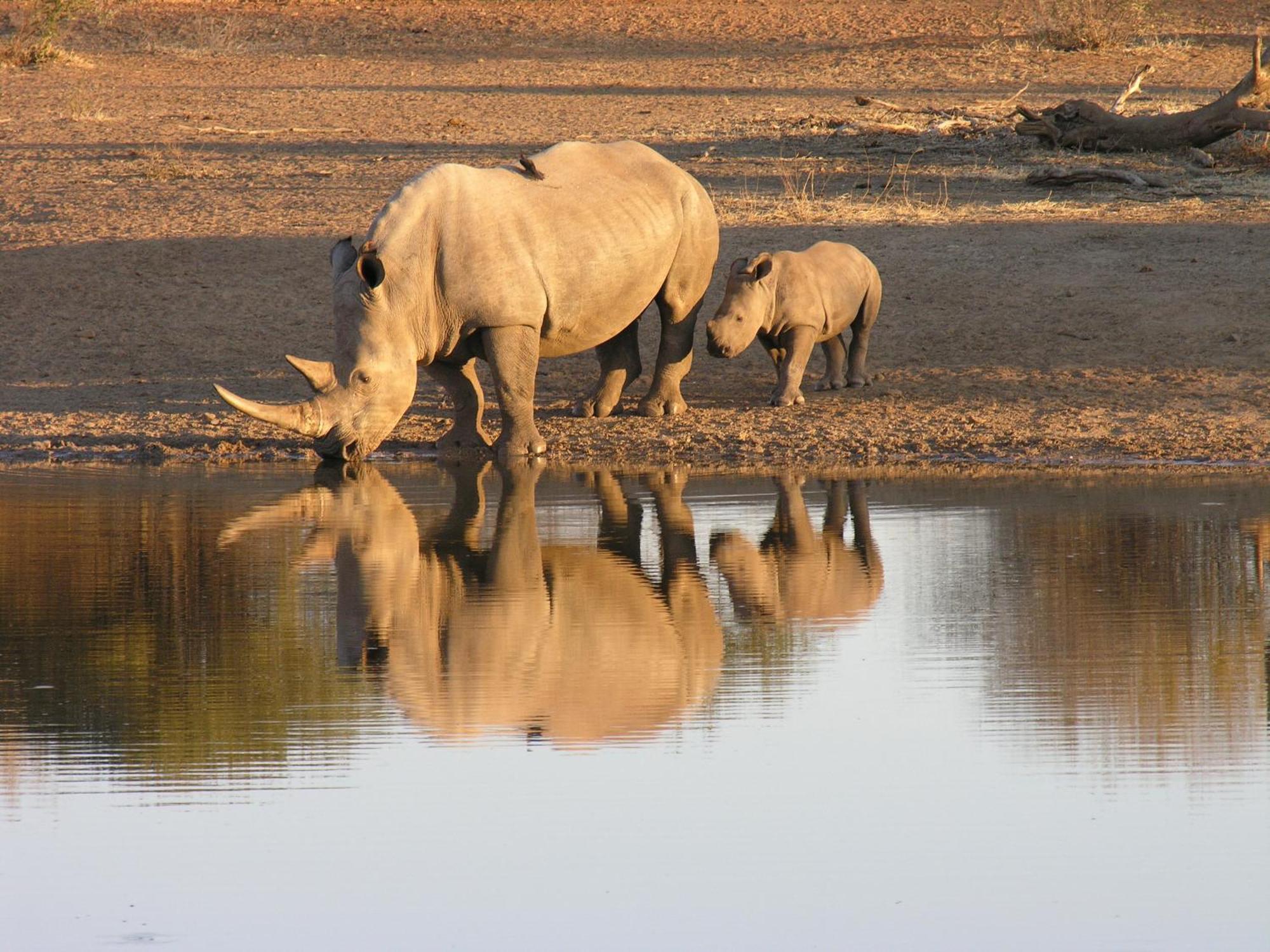 Etali Safari Lodge 马迪克韦狩猎保护区 外观 照片
